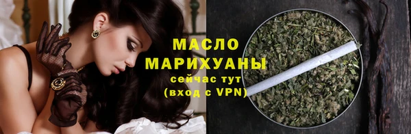 apvp Инсар