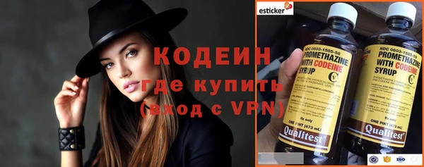 apvp Инсар