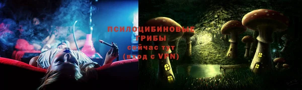 apvp Инсар