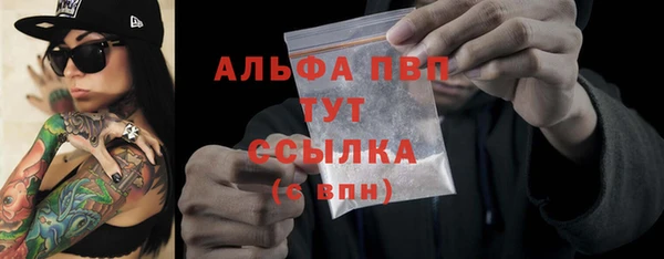 apvp Инсар
