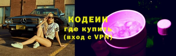 apvp Инсар