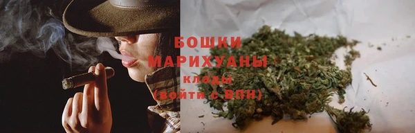 apvp Инсар