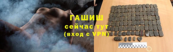 apvp Инсар