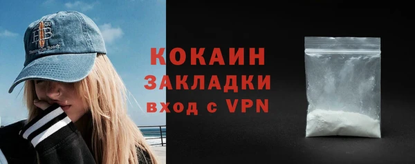 apvp Инсар