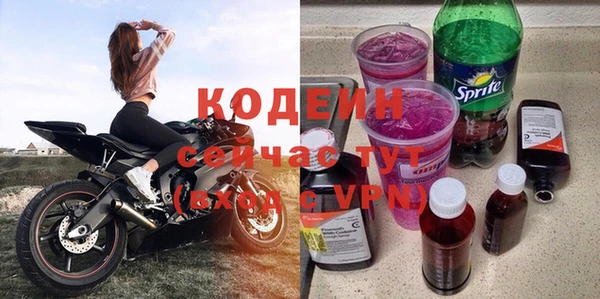 apvp Инсар