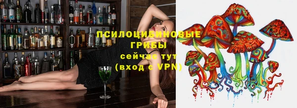 apvp Инсар