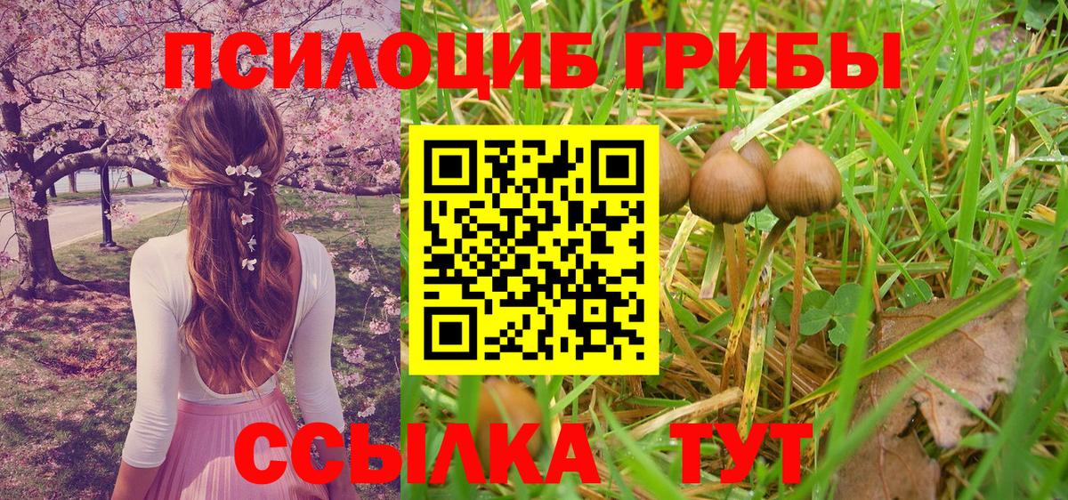 Кандалакша  купить закладку  Вход с VPN  Галлюциногенные грибы Psilocybine cubensis 