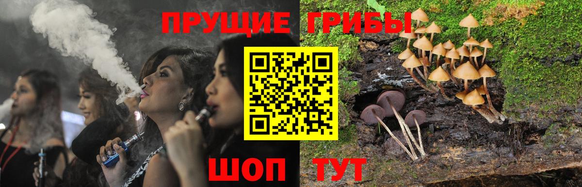 Псилоцибиновые грибы прущие грибы Кандалакша